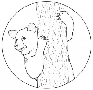 Treebear Logo